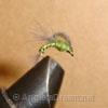 Emerger, Loop Wing Olive