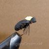 Beetle, Hi Vis Black Foam