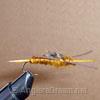 Stonefly Golden Rubberleg