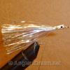 Silver Flash Minnow