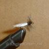 Caddis Hemmingway