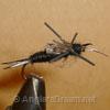 Stonefly Black Rubberleg