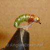 Caddis Larva Olive Beadhead