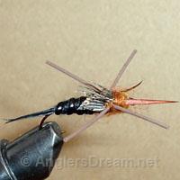 Stonefly Black/Brown Rubberleg Beadhead