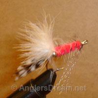 Bonefish Bugger Pink/White Bead Chain Eye