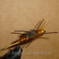 Stonefly Golden Rubberleg Beadhead