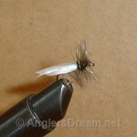 Caddis Hemmingway