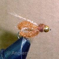 Caddis Pupa Emerging Sparkle Tan Beadhead