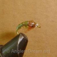 Caddis Larva Olive