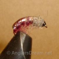 Caddis Larva Deep Purple