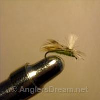 Caddis EZ Olive