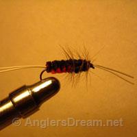 Bitch Creek Nymph Orange/Black Rubberleg