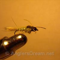 Tungsten Beadhead, H. Ear G. Rib Olive Rubberleg