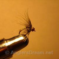 Soft Hackle Jody's Amber Gem