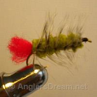 Wooly Worm Olive/Red